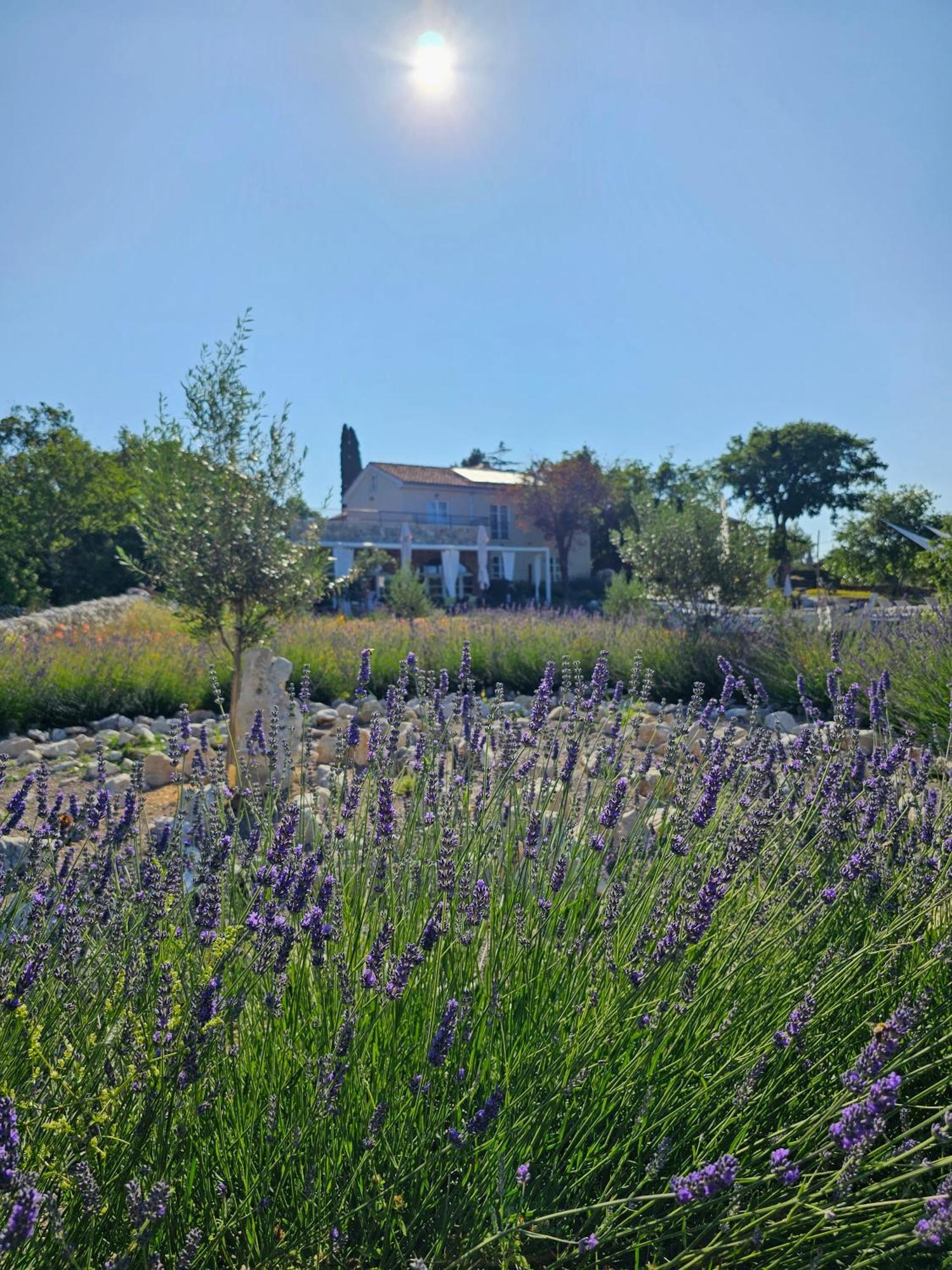 Boutique Resort Osma - Adults Only Malinska Exterior foto